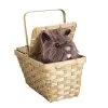 The Wizard Of Oz Toto In Basket Deluxe